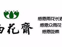 盐城吃瓜协会官网,揭秘地方特色美食文化，共享瓜果飘香盛宴