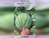吃瓜网现在怎么进不去了呢,揭秘原因及解决方案