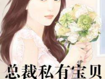 冷情总裁的私有宝贝免费阅读,甜蜜复仇恋曲