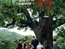 【青青岛观察】《温暖的味道》热播背后 千亿级产业链正崛起？棚内拍摄