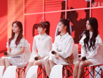 火箭少女101成员,青春绽放，梦想起航的少女组合